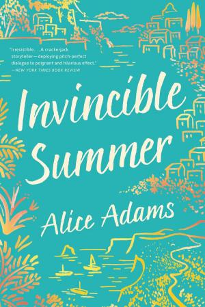 Cover of the book Invincible Summer by Itamar Srulovich, Sarit Packer