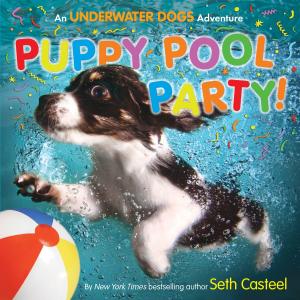 Cover of the book Puppy Pool Party! by Matt Christopher