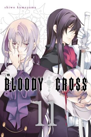 Cover of the book Bloody Cross, Vol. 11 by Hiroji Mishima, Ichiei Ishibumi, Zero Miyama
