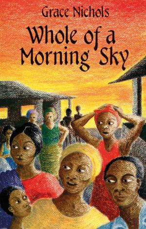 Cover of the book Whole Of A Morning Sky by Robynn Gabel