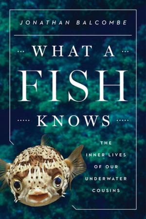 Cover of the book What a Fish Knows by Melanie Thernstrom