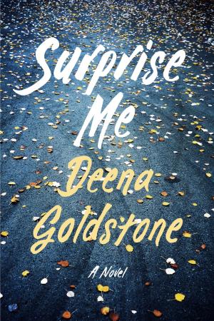 Book cover of Surprise Me