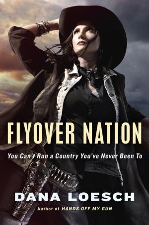 Cover of the book Flyover Nation by Rachel Bertsche