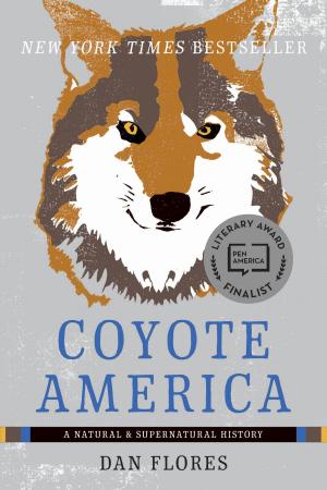 Cover of the book Coyote America by Matt Wilkinson