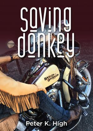 Cover of the book Saving Donkey by DB Daglish