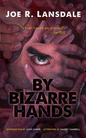 Cover of the book By Bizarre Hands by C. G. Jung