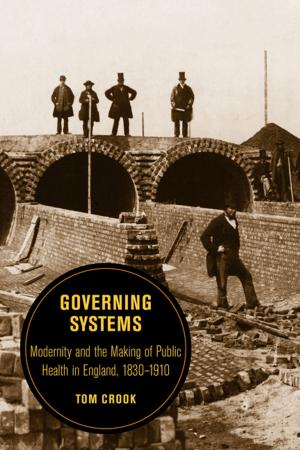 Cover of the book Governing Systems by Megan Ybarra
