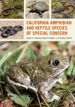 Cover of the book California Amphibian and Reptile Species of Special Concern by Lawrence Mark Elbroch, Michael Kresky, Jonah Evans