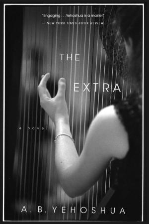 Book cover of The Extra