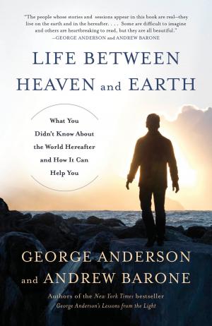 Cover of the book Life Between Heaven and Earth by Julie Clark Robinson