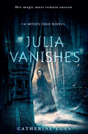 Cover of the book Julia Vanishes by Suzy Capozzi