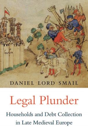 Cover of the book Legal Plunder by Primavera De Filippi De Filippi