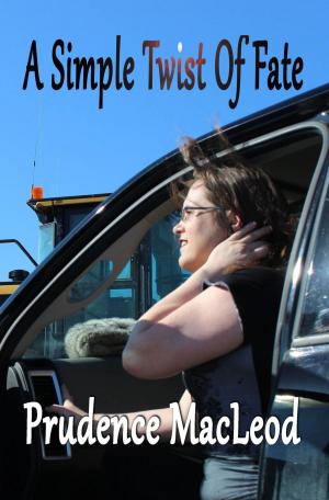 Cover of the book A Simple Twist of Fate by K'Anne Meinel