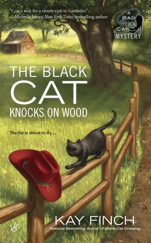 Cover of the book The Black Cat Knocks on Wood by Max Coppa