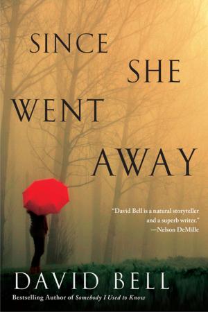Book cover of Since She Went Away