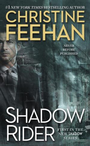 Book cover of Shadow Rider