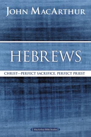 Cover of the book Hebrews by Chris Seay