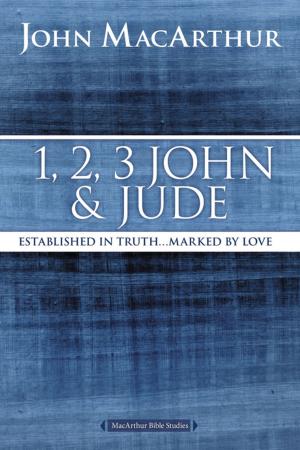 Cover of the book 1, 2, 3 John and Jude by Devashish