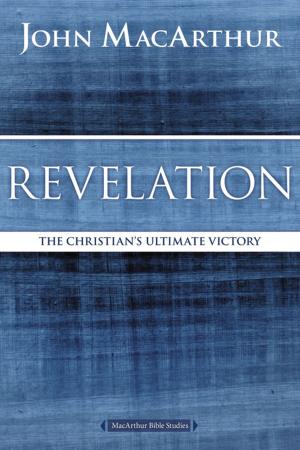 Cover of the book Revelation by Jan Silvious