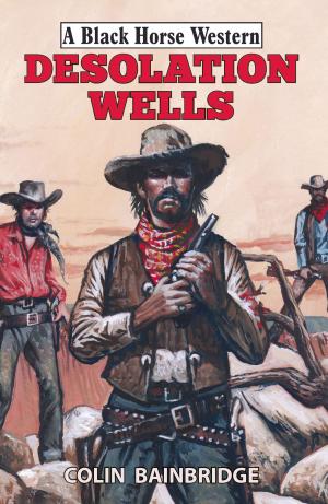 Cover of the book Desolation Wells by Jethro Kyle