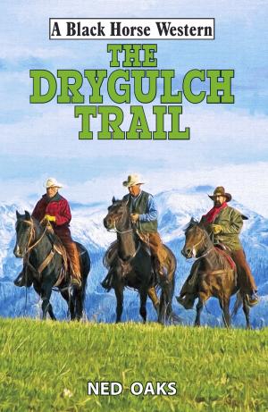 Cover of the book The Drygulch Trail by Harriet Cade