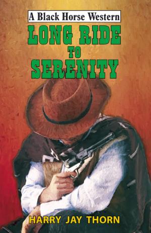 Cover of the book Long Ride To Serenity by Gillian F Taylor