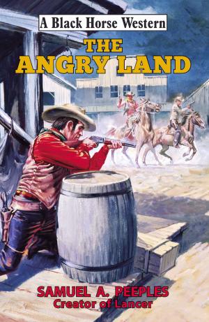 Cover of the book Angry Land by John Saunders