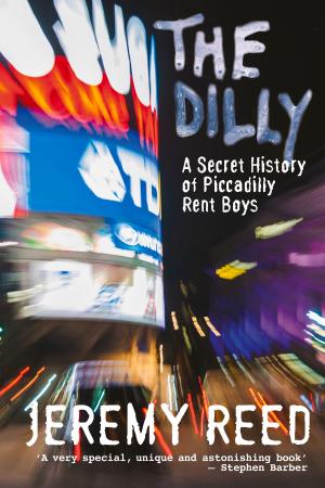 Cover of the book Dilly by Donald P. McCrory
