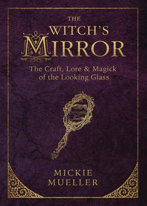 Cover of the book The Witch's Mirror by Darci Hannah