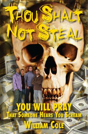 Cover of the book Thou Shalt Not Steal by Cindy M (CILLYart) BOWLES