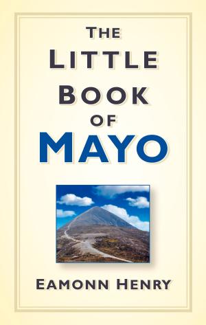 Cover of the book Little Book of Mayo by Dorothy Anderson