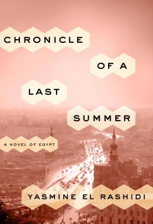 Cover of the book Chronicle of a Last Summer by John R. McCormick