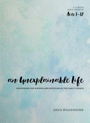 Cover of the book An Unexplainable Life by Richard A. Burr, Arnold R. Fleagle