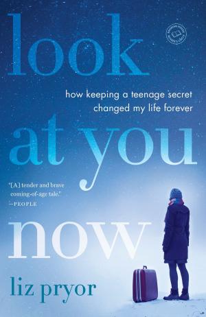 Cover of the book Look at You Now by Allison Brennan