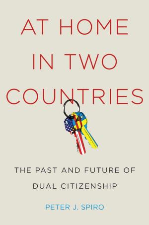 Cover of the book At Home in Two Countries by Seth I. Kamil, Eric Wakin