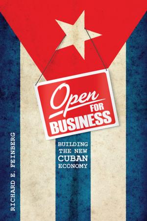 Cover of the book Open for Business by William H. Frey