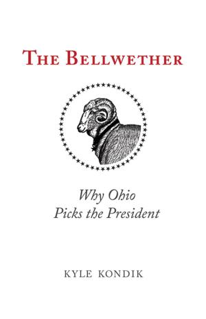 Cover of the book The Bellwether by David Andrew Nichols