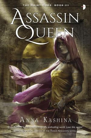 Cover of the book Assassin Queen by NS Dolkart