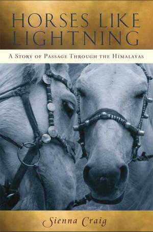 Cover of the book Horses Like Lightning by Andrée Salom