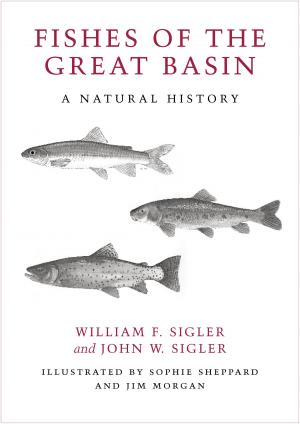 Cover of the book Fishes of the Great Basin by David F. Myrick