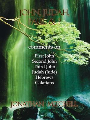 Cover of the book John, Judah, Paul & ? by Kehinde Sonola