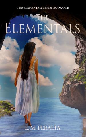 Cover of the book The Elementals by Dizzie Gent
