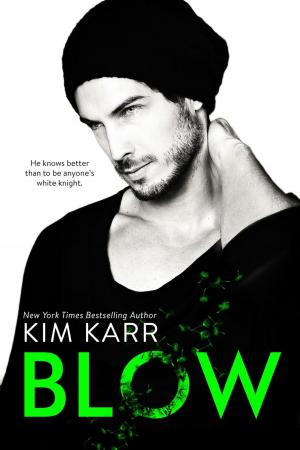 Cover of the book Blow by Katherine Kingston