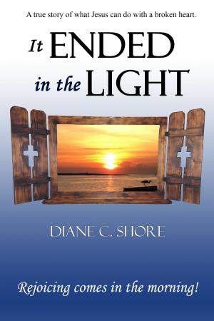 Cover of the book It Ended in the Light by Dr. Helena Hill