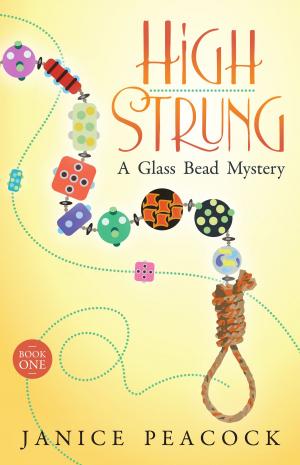 Cover of the book High Strung, Glass Bead Mystery Series, Book 1 by John Brinling