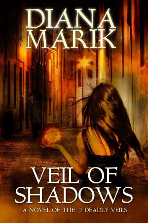 Cover of the book Veil of Shadows by David Stevens