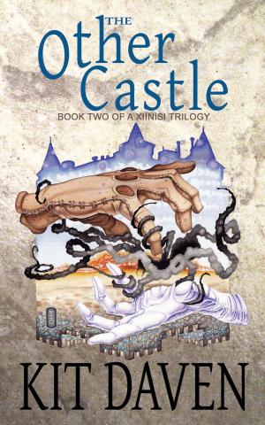 Book cover of The Other Castle