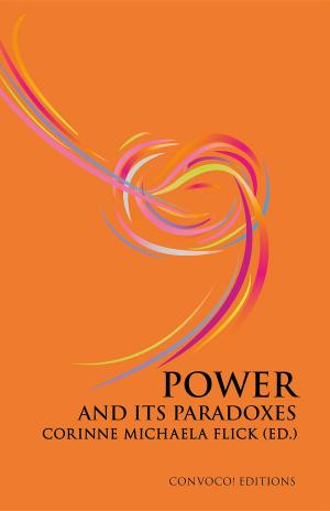 Cover of the book Power and its Paradoxes by Robert McCoy