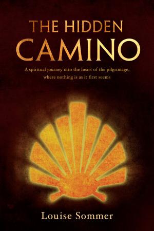 Cover of the book The Hidden Camino by Natalie Jayne