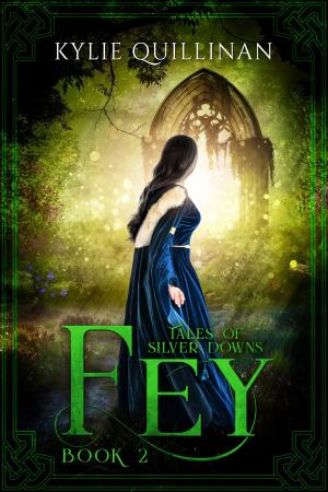 Cover of the book Fey by J.C. Loen